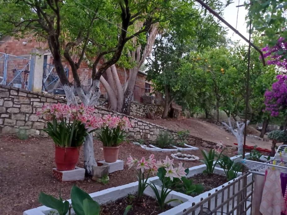 Villa Lidi Sztavrósz Kültér fotó