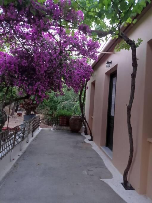 Villa Lidi Sztavrósz Kültér fotó