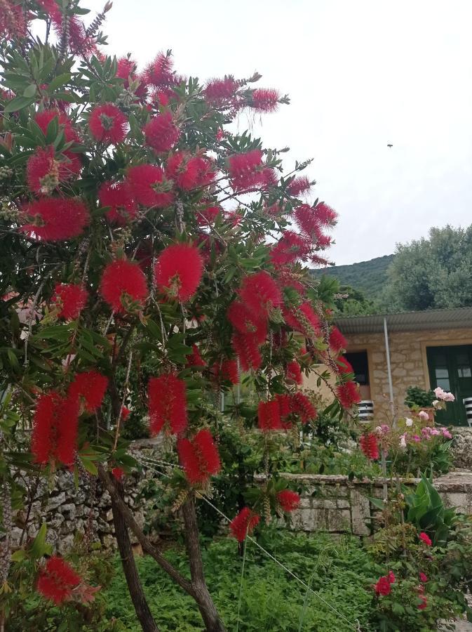 Villa Lidi Sztavrósz Kültér fotó