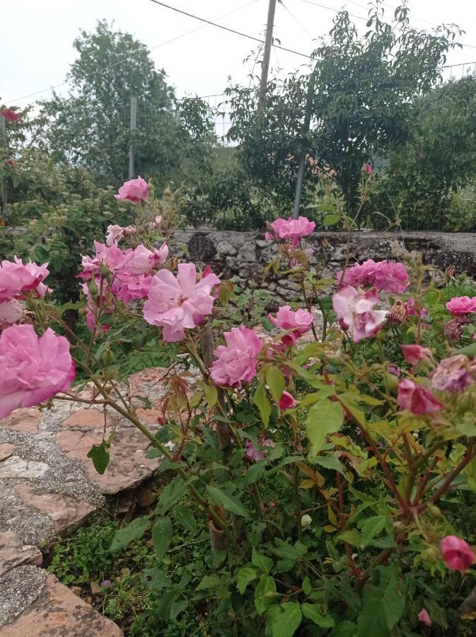 Villa Lidi Sztavrósz Kültér fotó