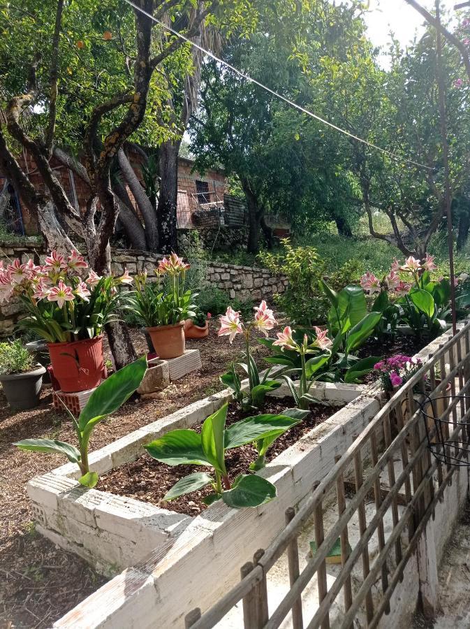 Villa Lidi Sztavrósz Kültér fotó